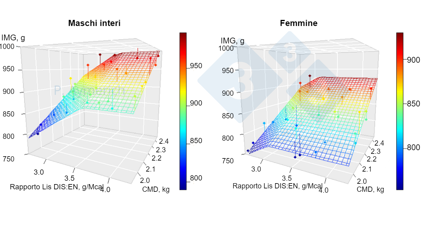  Modello delleffetto del rapporto lisina-energia e del consumo medio giornaliero in maschi interi e femine